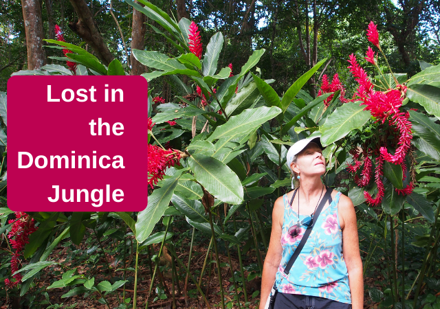 Lost in the Dominica Rainforest Jungle: Wild Rivers, Waterfalls, Volcanic Springs