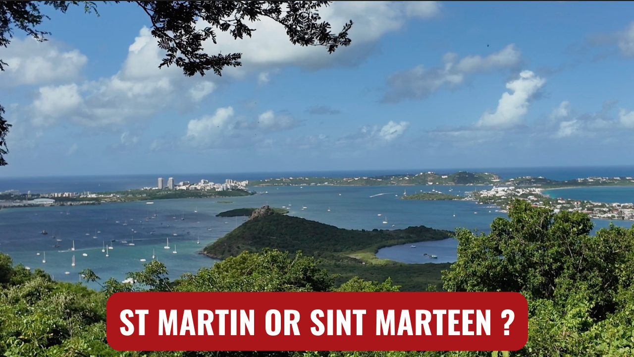 ST. MARTIN SAILING - GRAND CASE, BUSCO RUM, REAL REGGAE, A PARADE AND SIMPSON BAY